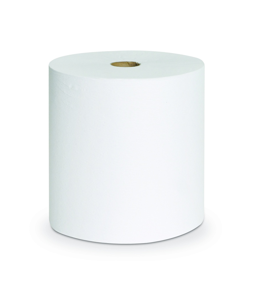 PAPER TOWEL ROLLED W/ECO LOGO, STANDARD 200MMX300MM 6'S/BOX
